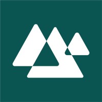 Salesforce Developer